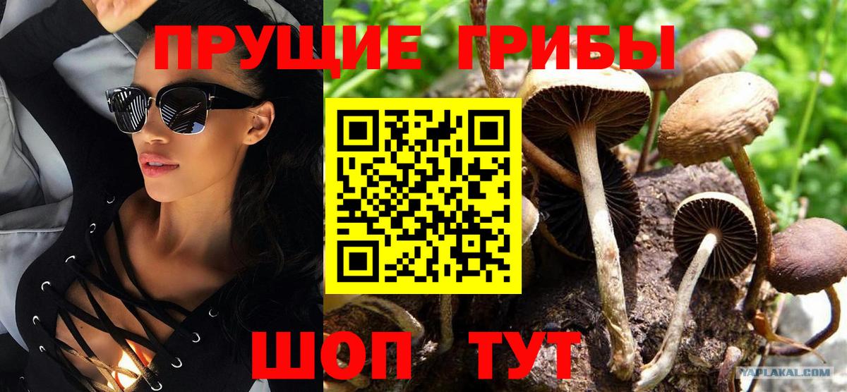 Галлюциногенные грибы Magic Shrooms  Вход с VPN  Курчатов 