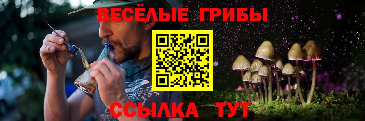 Псилоцибиновые грибы Cubensis Курчатов