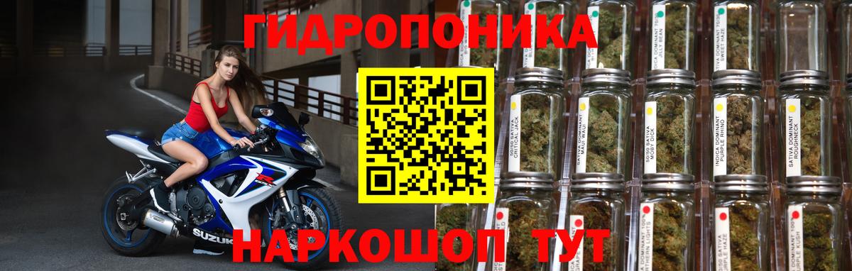 Курчатов  Марихуана Ganja  Вход с VPN  Конопля AK-47  Конопля Ganja 